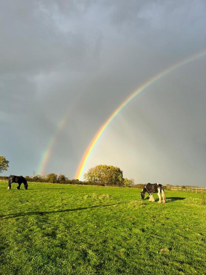 Appaloosa Suite With Amazing Views Of Stud Farm. Driffield Eksteriør billede